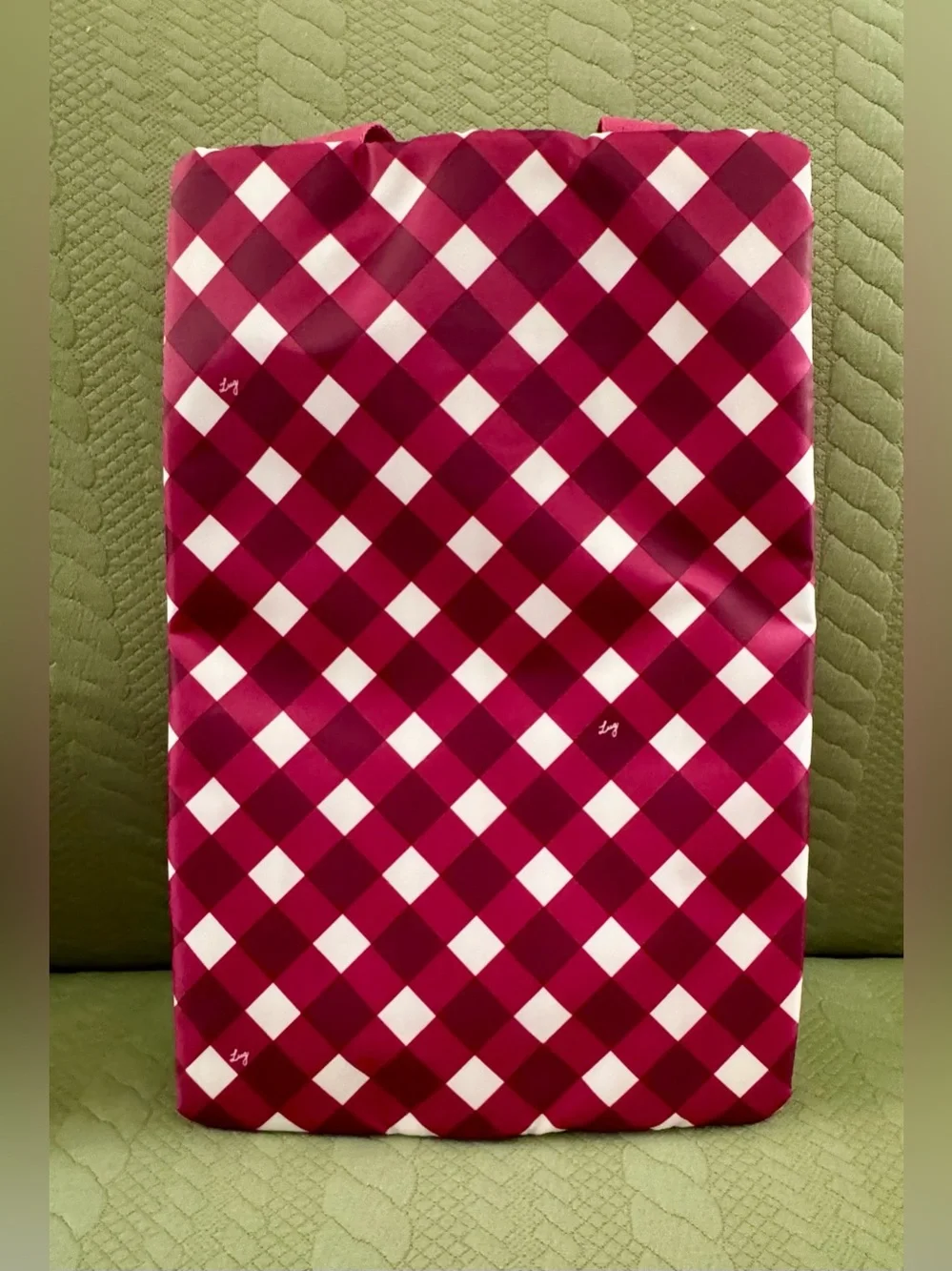 Lug Tuck Hot Iron Pouch Gingham Berry NWOT